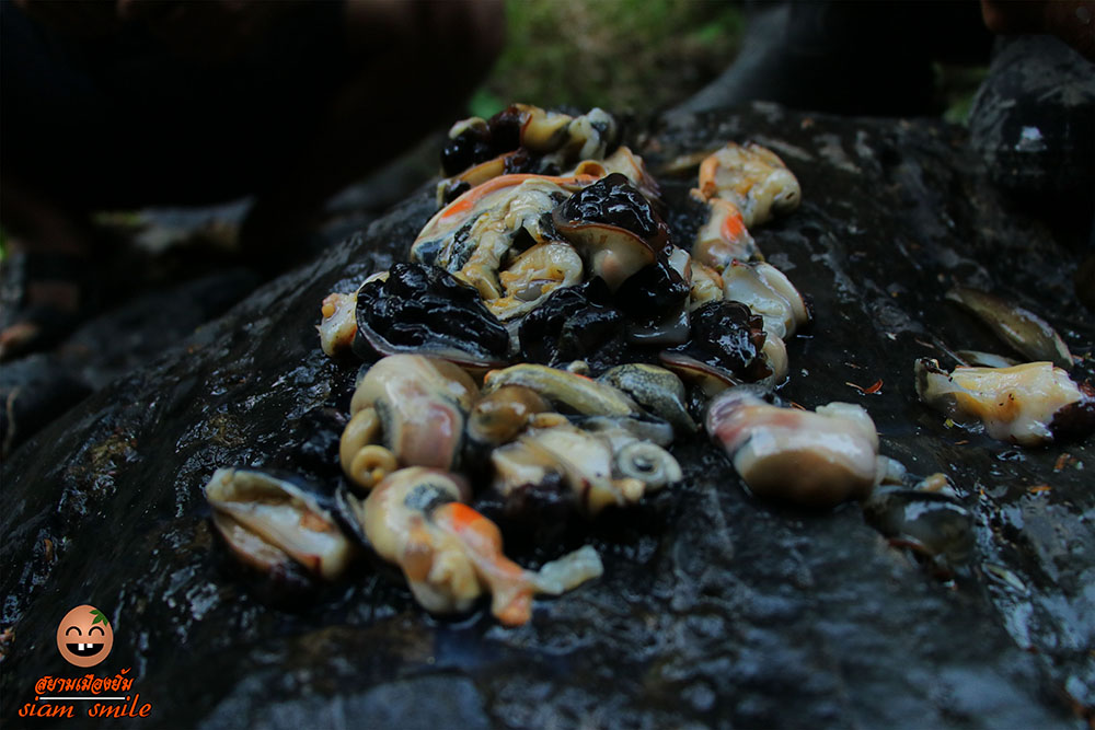 Food in Phadam forest