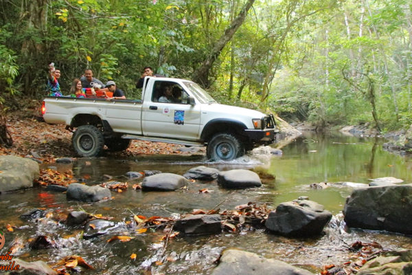 forest conservation in Thailand