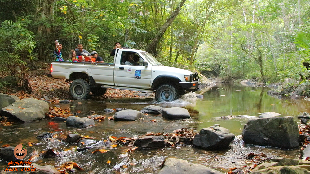 forest conservation in Thailand